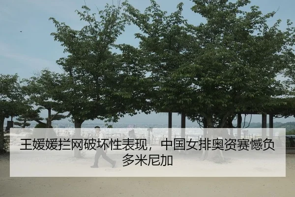 王媛媛拦网破坏性表现，中国女排奥资赛憾负多米尼加