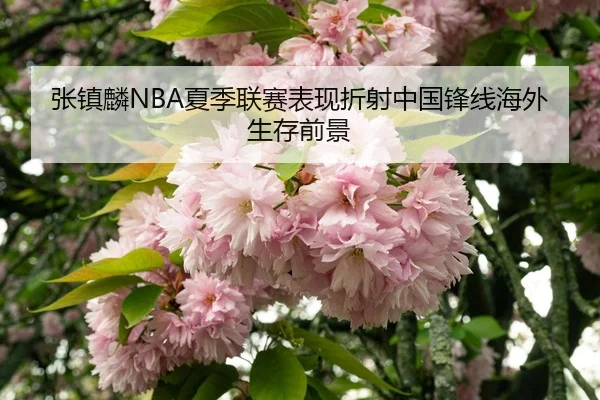 zhang-zhen-lin-xia-ji-lian-sai-biao-xian-zhe-she-zhong-guo-feng-xian-hai-wai-sheng-cun-qian-jing-3-935.jpg