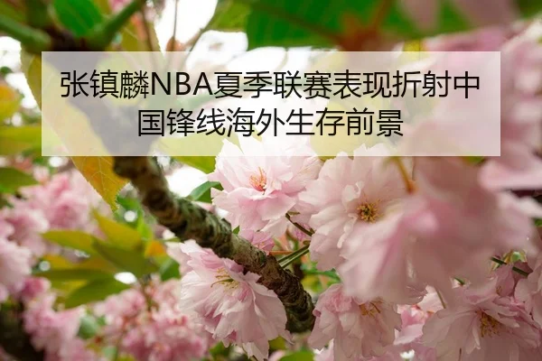 张镇麟NBA夏季联赛表现折射中国锋线海外生存前景