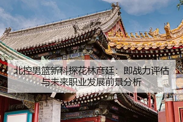 北控男篮新科探花林彦廷：即战力评估与未来职业发展前景分析