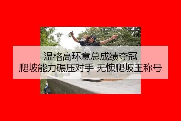 wen-ge-gao-huan-yi-zong-cheng-ji-duo-guan-pa-po-neng-li-nian-ya-dui-shou-wu-kui-pa-po-wang-cheng-hao-2-669.jpg