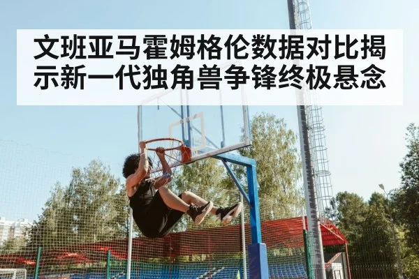 文班亚马霍姆格伦数据对比揭示新一代独角兽争锋终极悬念